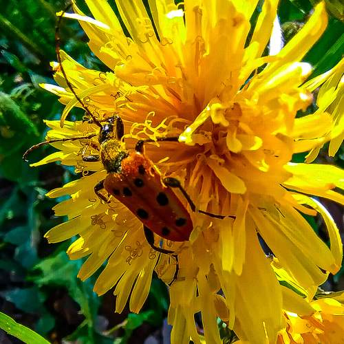 Photo #7996783