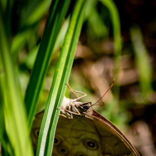 Photo #7996922
