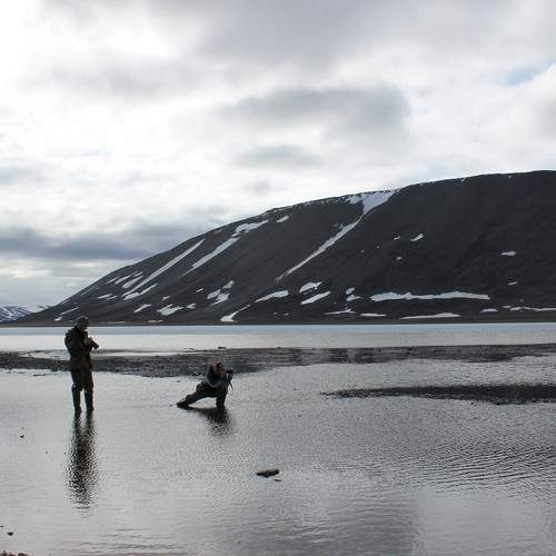 Photo #7997103