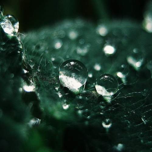 Photo #7997415