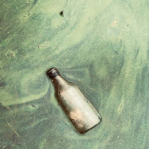 Photo #7998151