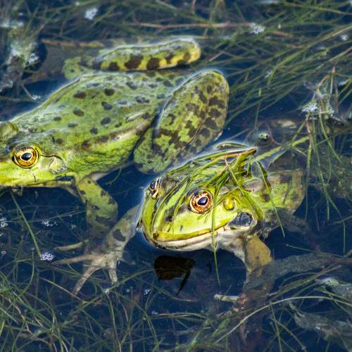 Photo #7998168