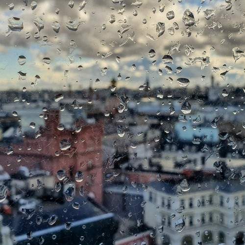 Photo #8000013