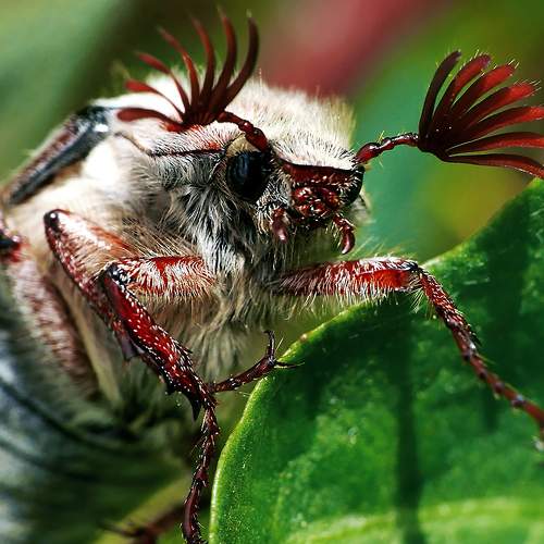 Photo #8000125