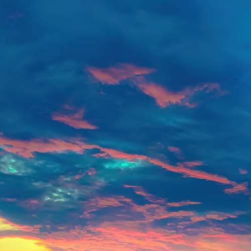 Photo #8000173