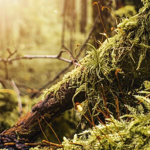 Photo #8000253