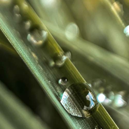 Photo #8000257