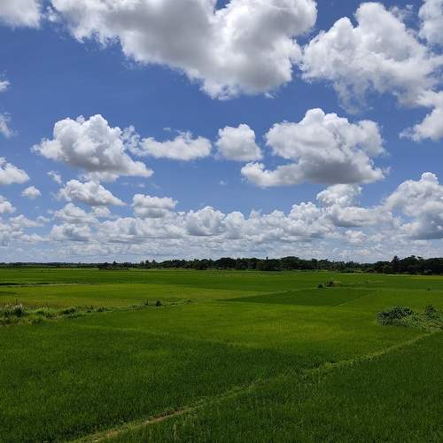 Photo #8000611