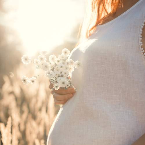 Photo #8001286