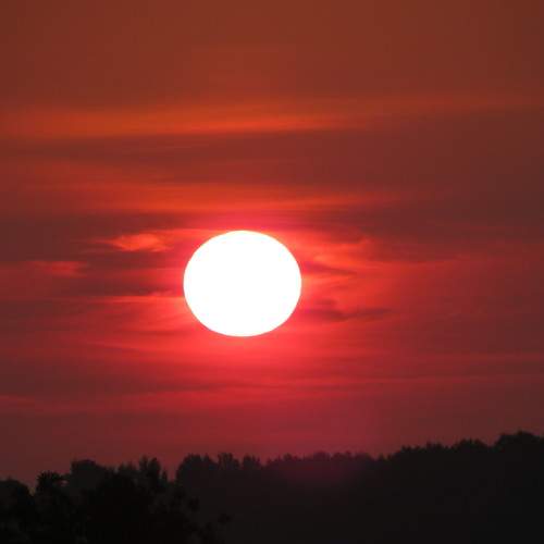 Photo #8001819