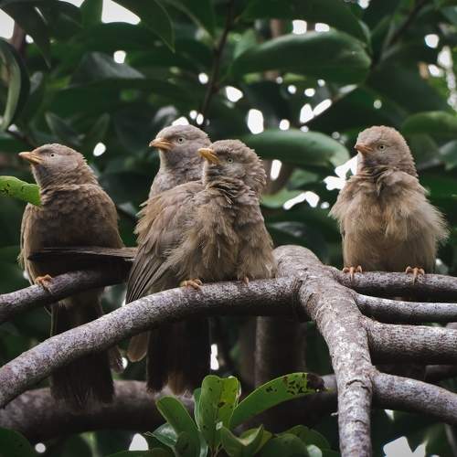 Photo #8001847