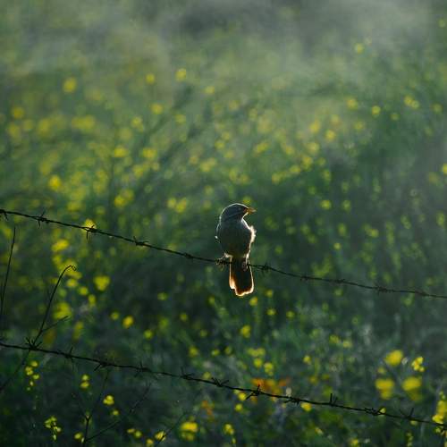 Photo #8002034
