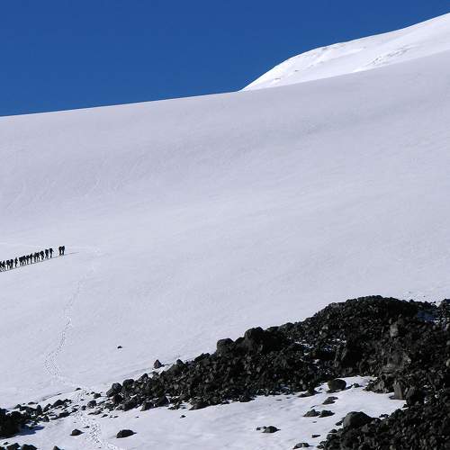 Photo #8002372