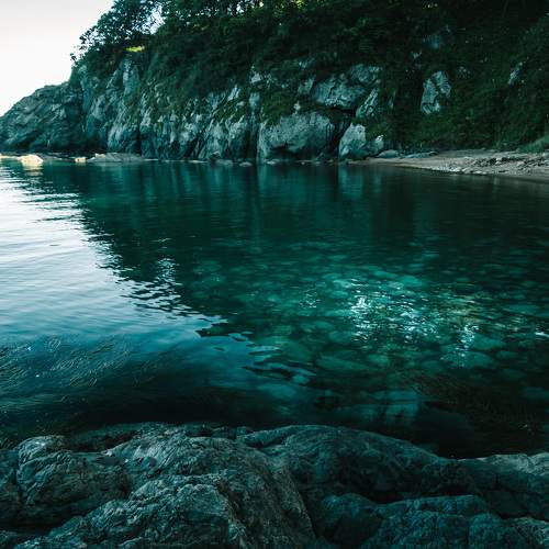 Photo #8002441