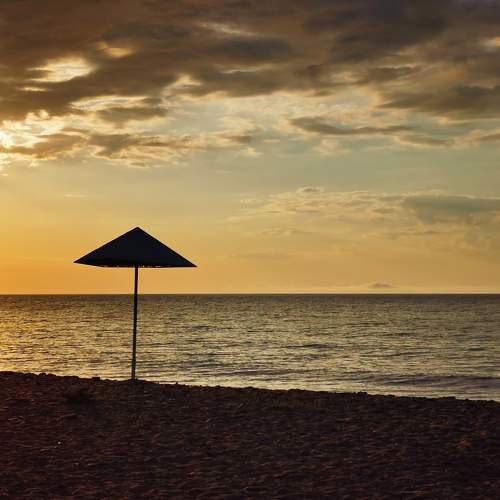 Photo #8002450