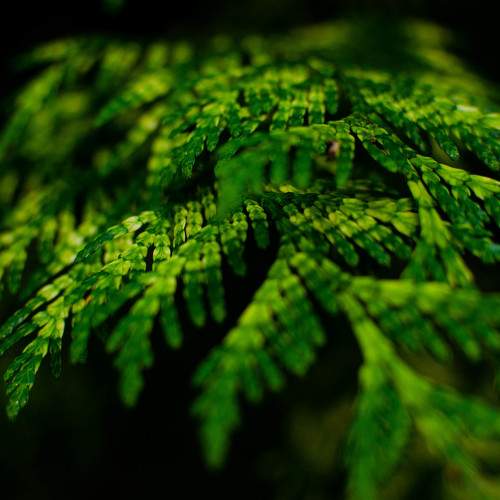Photo #8002627
