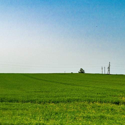 Photo #8002640