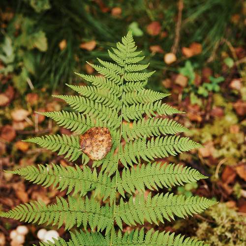 Photo #8002646