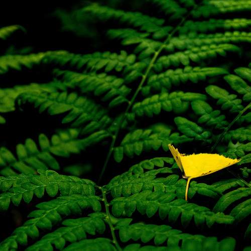 Photo #8002654