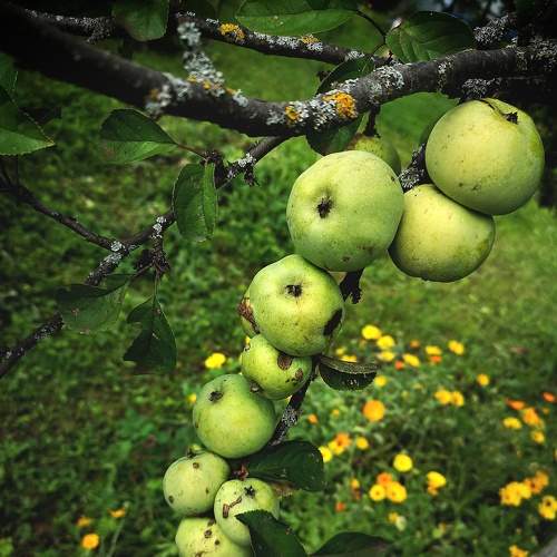 Photo #8003053