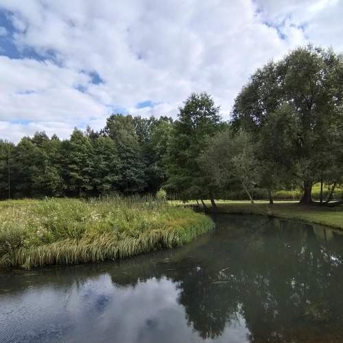 Photo #8003416