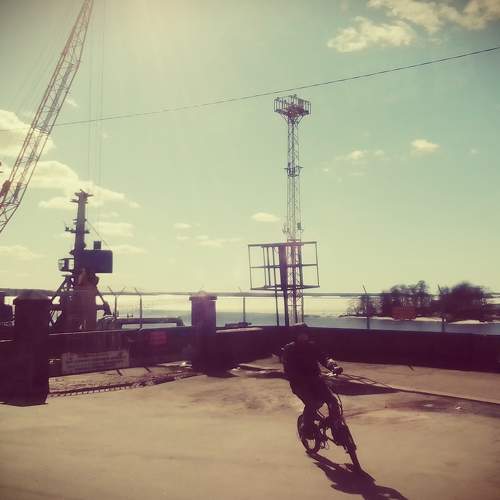 Photo #8003678