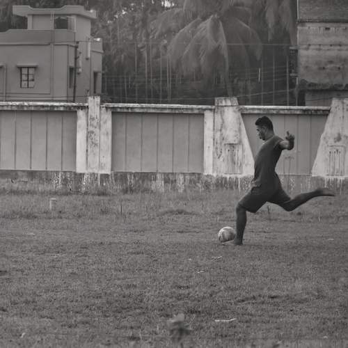 Photo #8003733