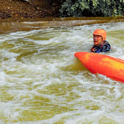 Photo #8003777