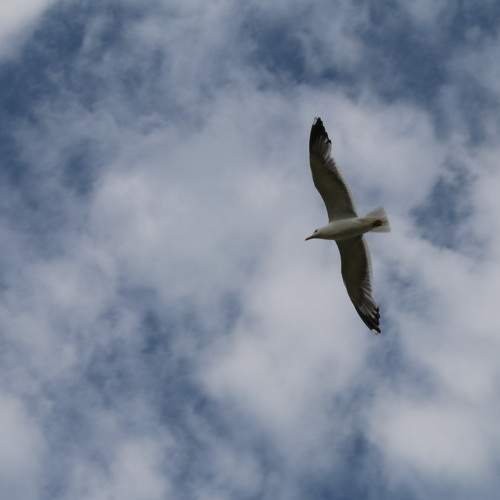 Photo #8003987