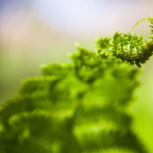Photo #8004141