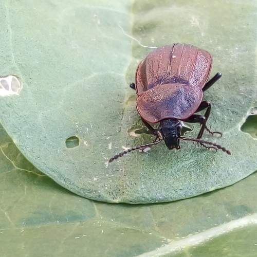 Photo #8004316