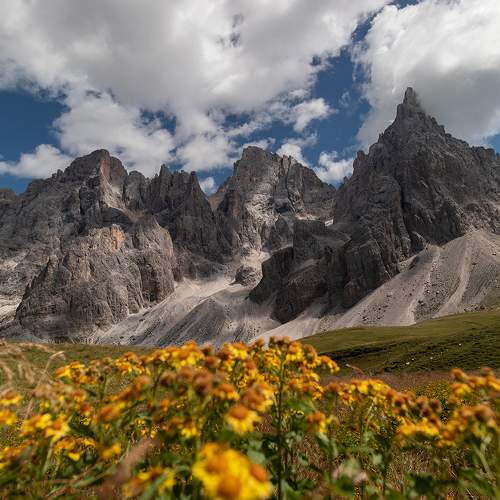 Photo #8004505