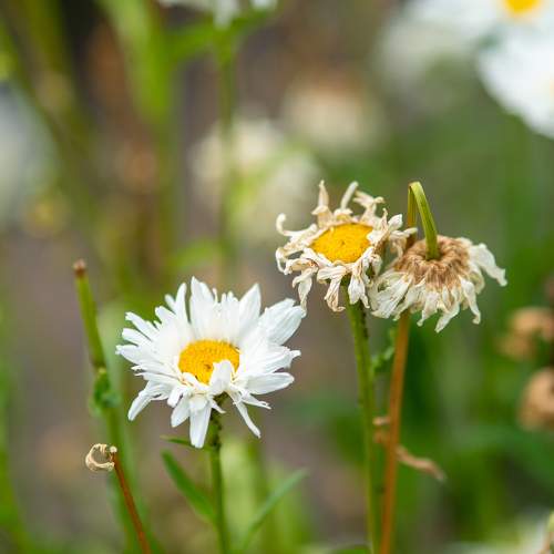 Photo #8004569