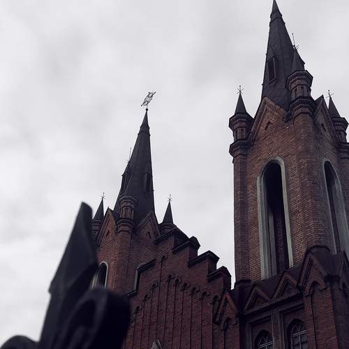 Photo #8004731