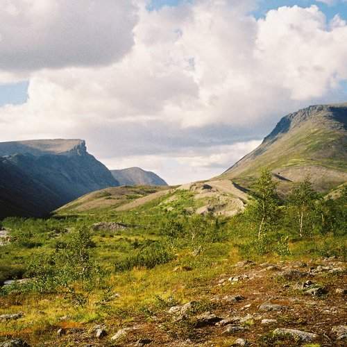 Photo #8004809