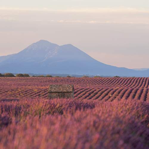 Photo #8004956