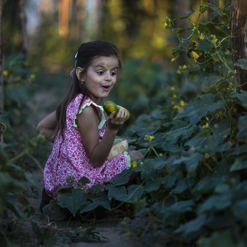Photo #8005016