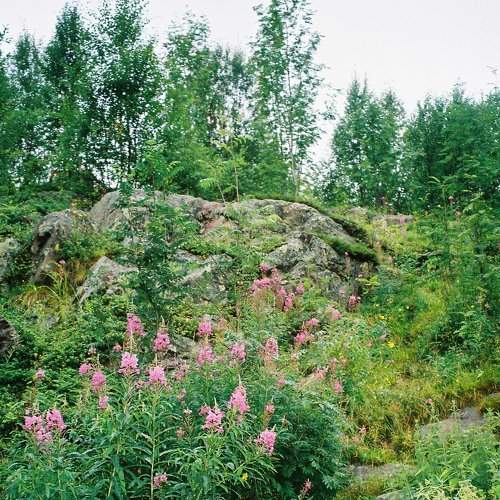 Photo #8005111