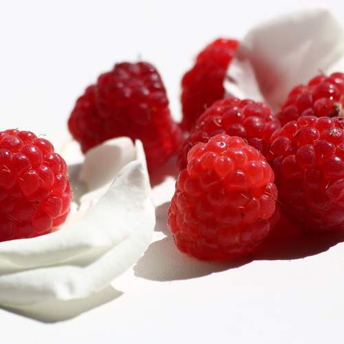 Photo #8005155