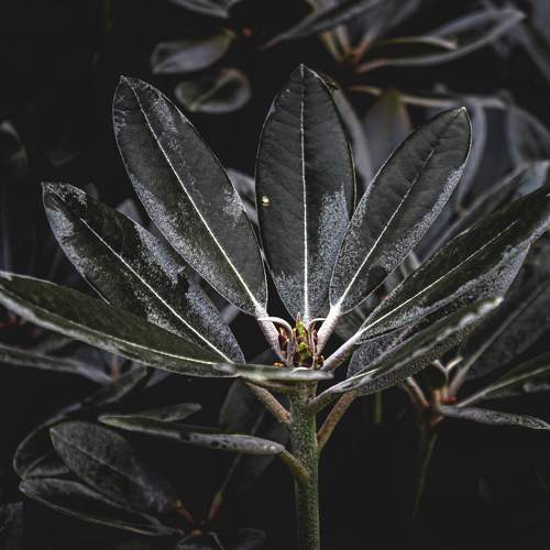 Photo #8005325
