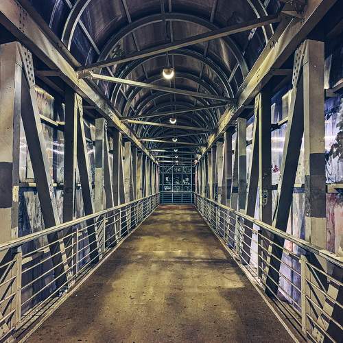 Photo #8005328