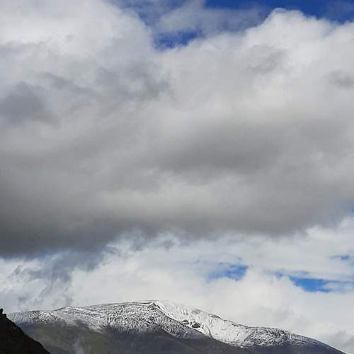 Photo #8005701