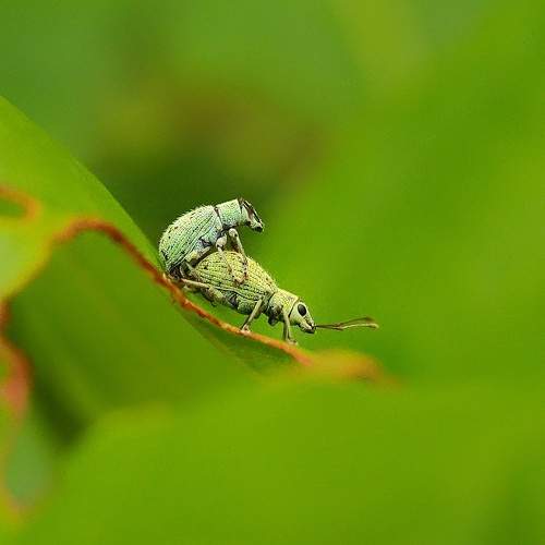 Photo #8005734