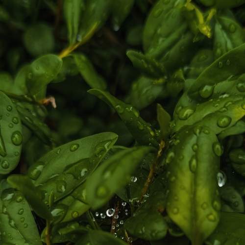 Photo #8006240