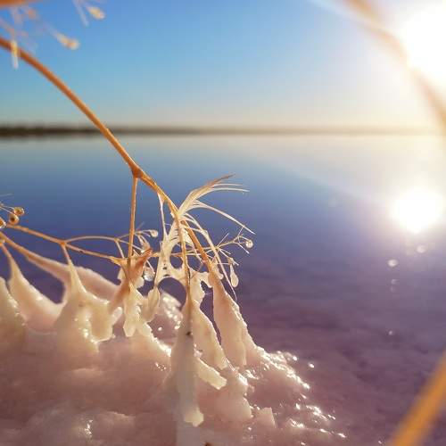 Photo #8006480