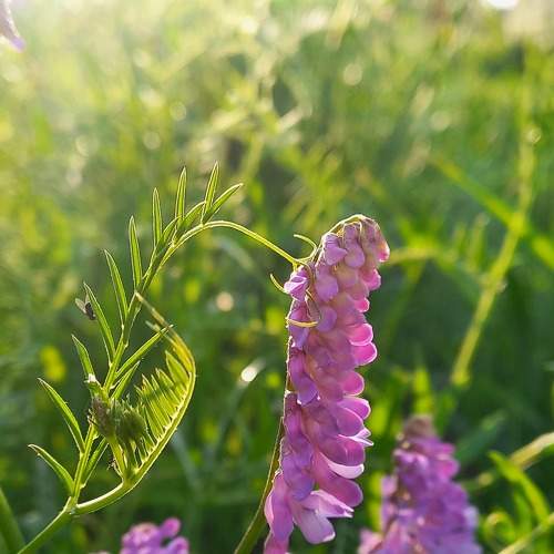 Photo #8006481