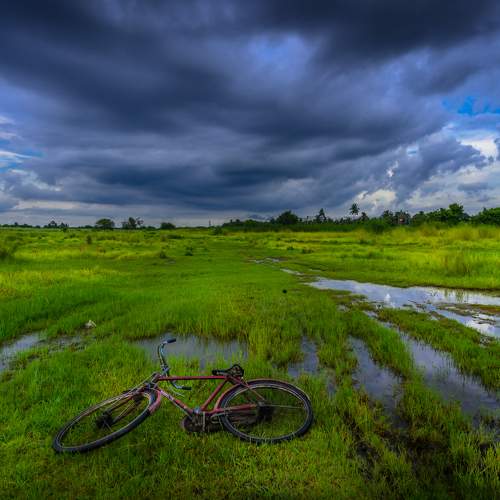 Bicycle in Green Carpet