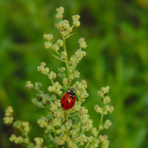 Photo #8006753