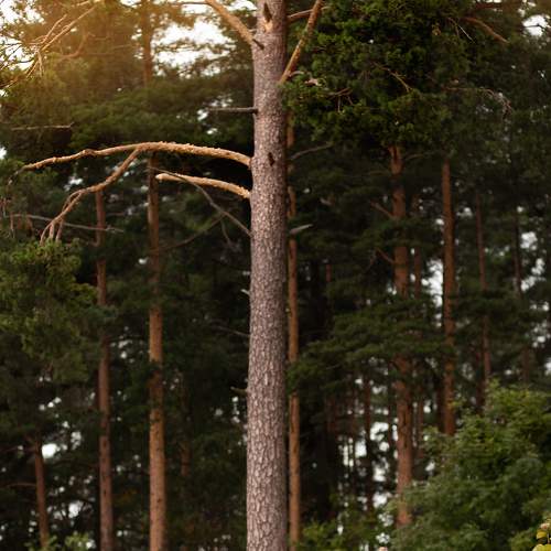 Photo #8006959