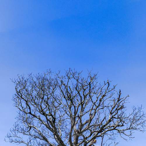 Photo #8007306